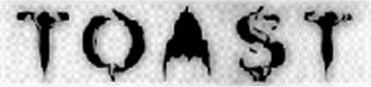 toast - punk, funk rock band